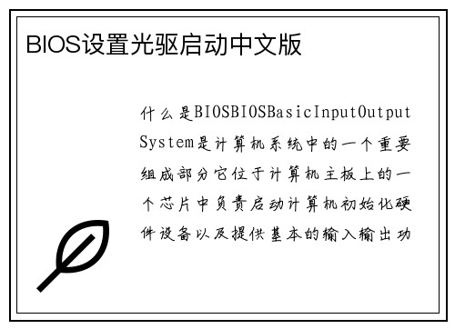 BIOS设置光驱启动中文版