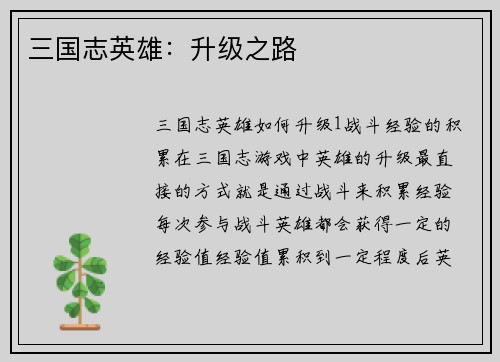 三国志英雄：升级之路
